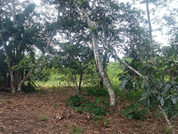 🏡 Solar de 310 m² en Venta en Lago Avanza – ¡Una excelente oportunidad para construir tu futuro!